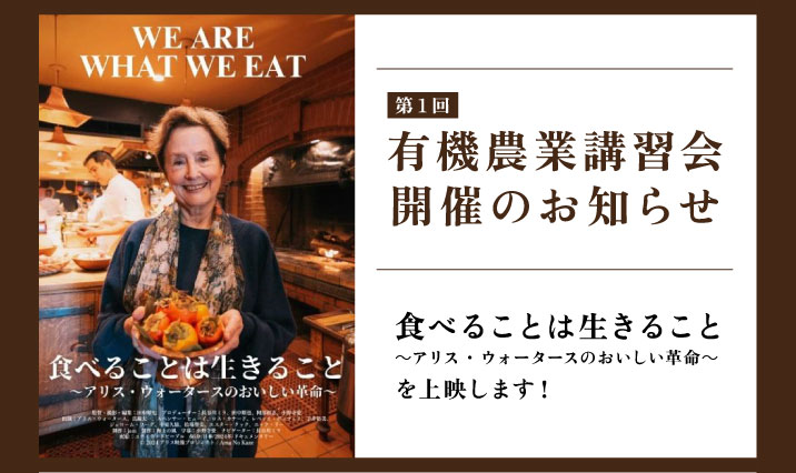 お知らせ
