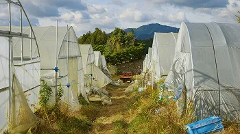 腰岡さん紹介