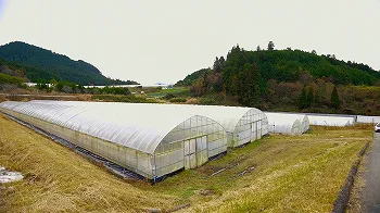 前川農園紹介