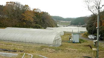 牧野農園紹介