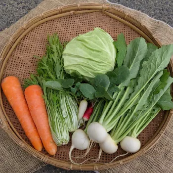 （有）類農園紹介