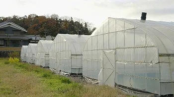 山本農園紹介
