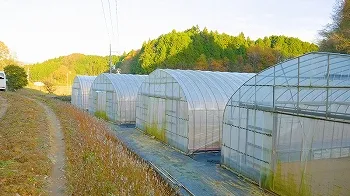 横山さん紹介