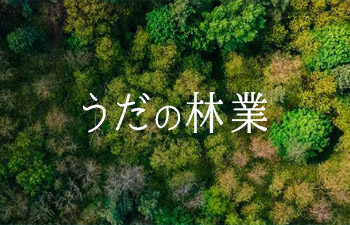 うだの林業