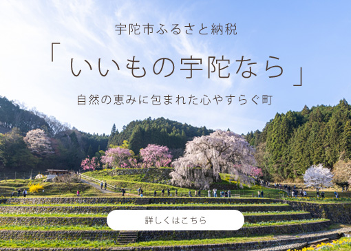 宇陀市ふるさと納税