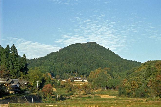 澤城跡　遠景