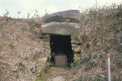奥ノ芝1号墳・2号墳の画像