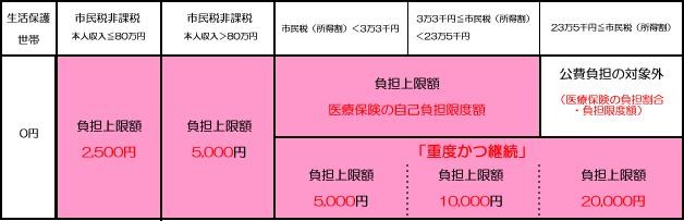自己負担額