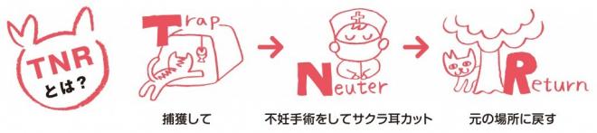 TNR