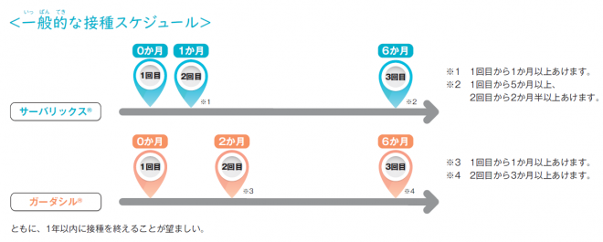 スケジュール
