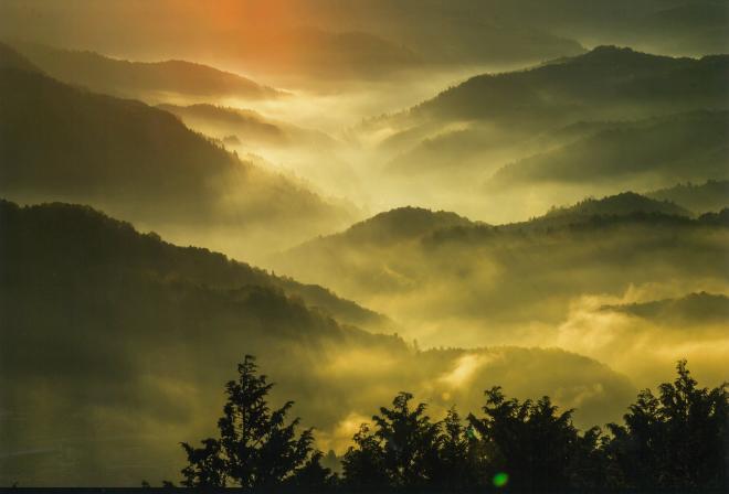 陽光の画像