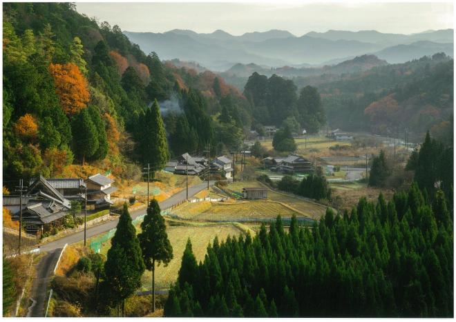 晩秋の宮奥の画像
