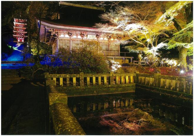 壮厳と幻想の古寺の画像