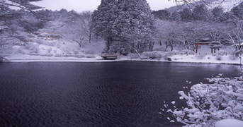 雪化粧の画像