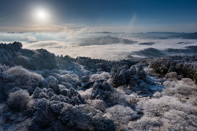 鳥見山冬