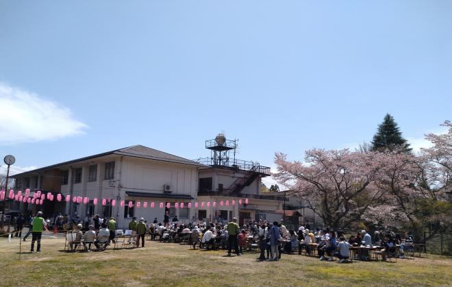 2024年政始まち協桜まつり