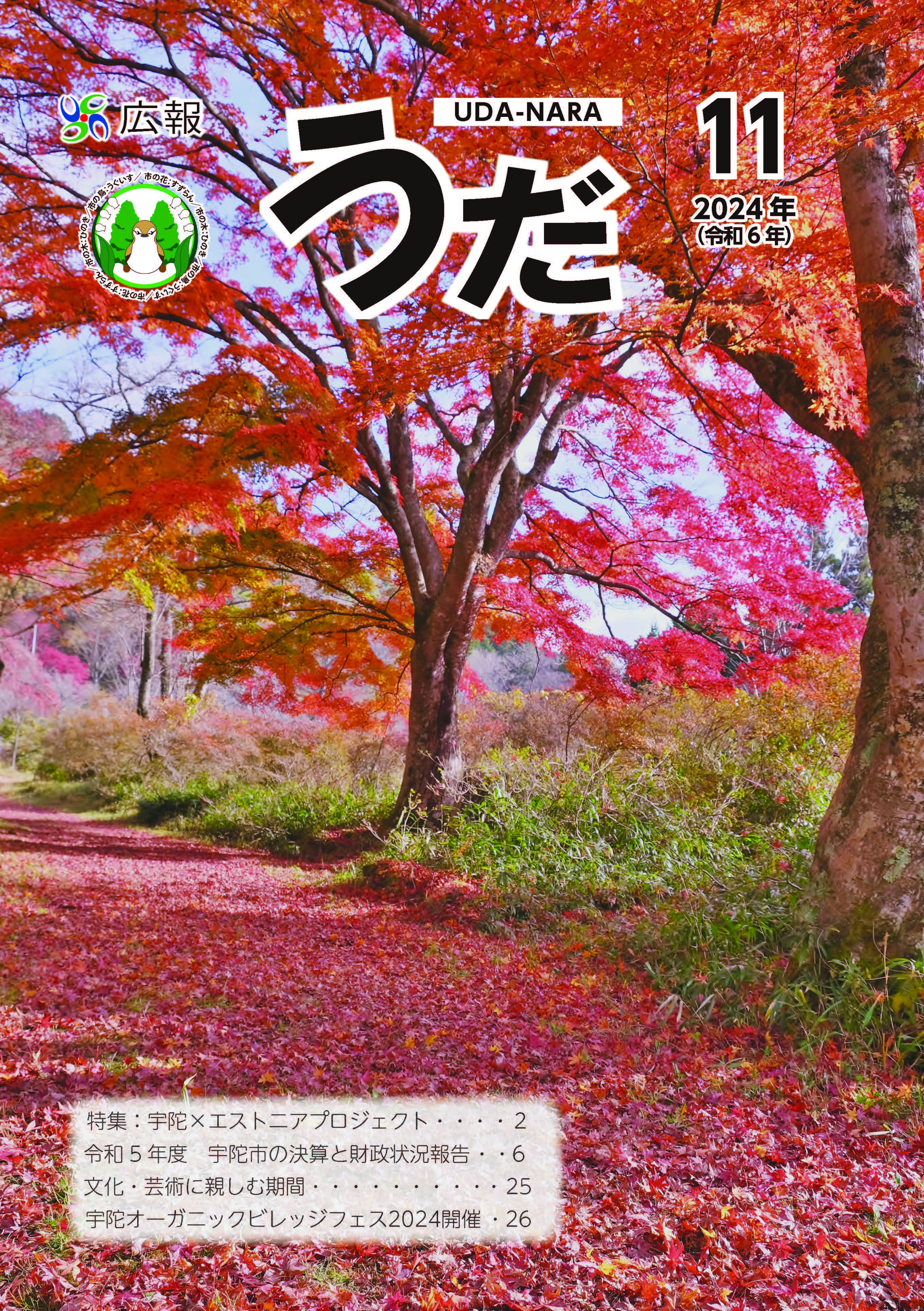 202411表紙