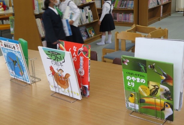 面展台