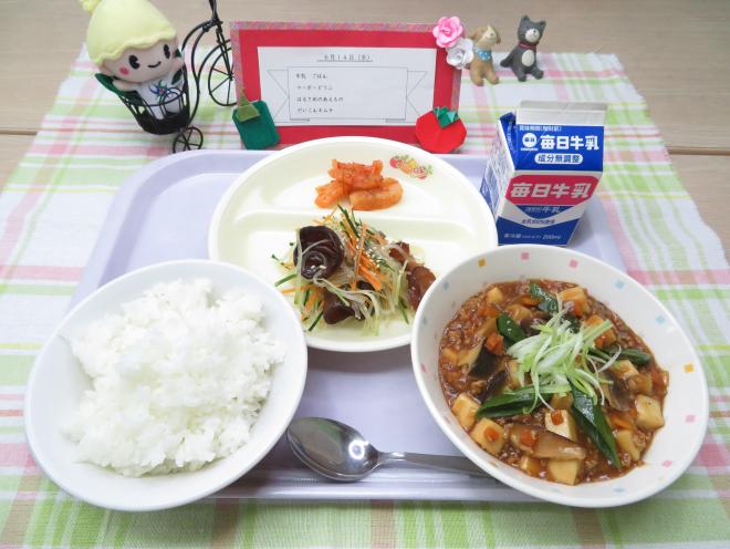 給食2023年6月14日