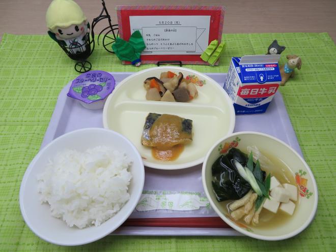 給食2024年5月20日