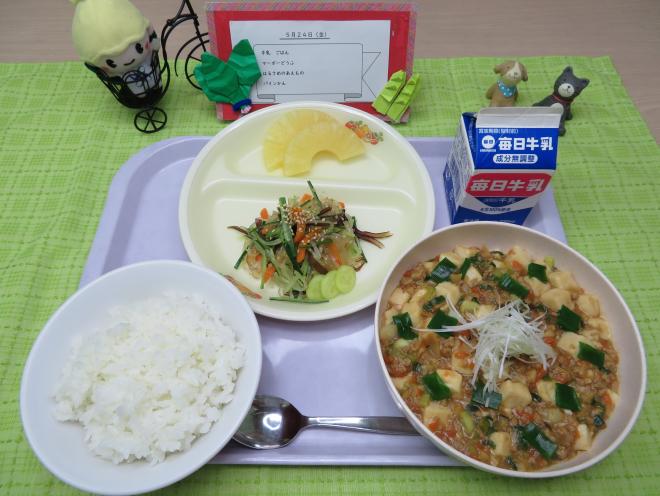 給食2024年5月24日