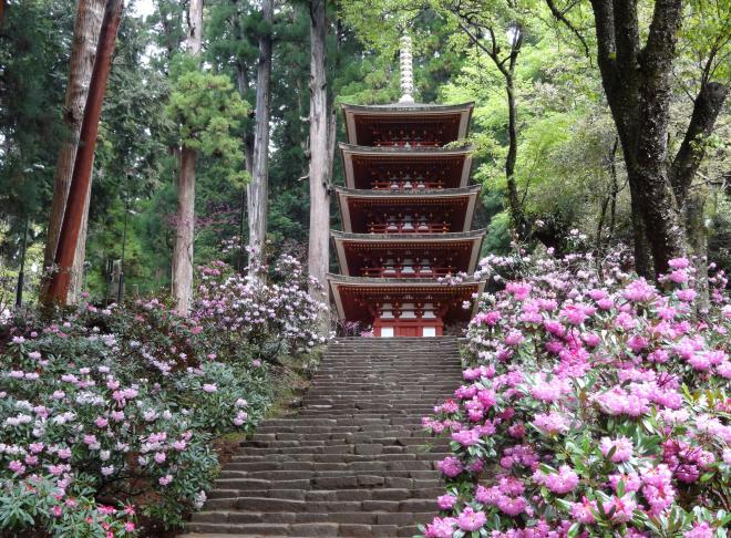 室生寺の画像