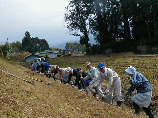 彼岸花植栽運動の様子の画像