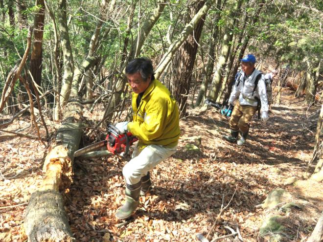 大王井足岳調査1の画像1
