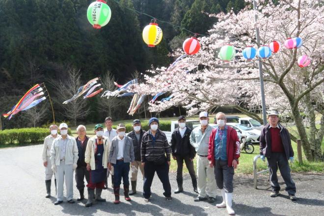 満開の桜と提灯が春の訪れをつげるの画像1