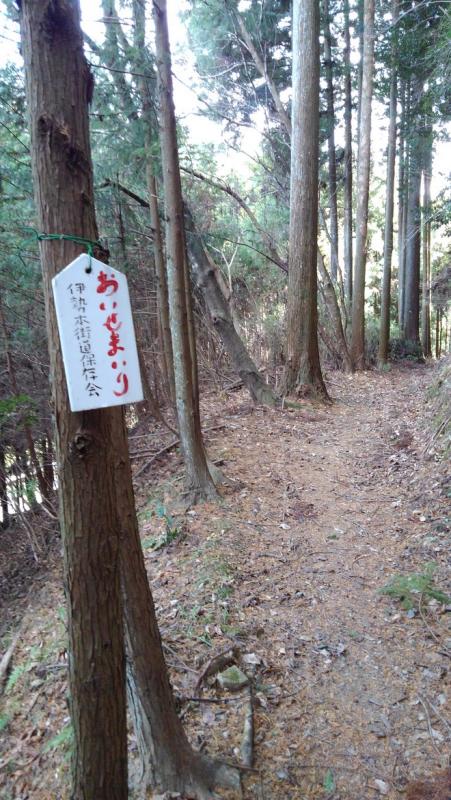 歩かれる方へおもてなし、旧伊勢本街道を整備の画像3