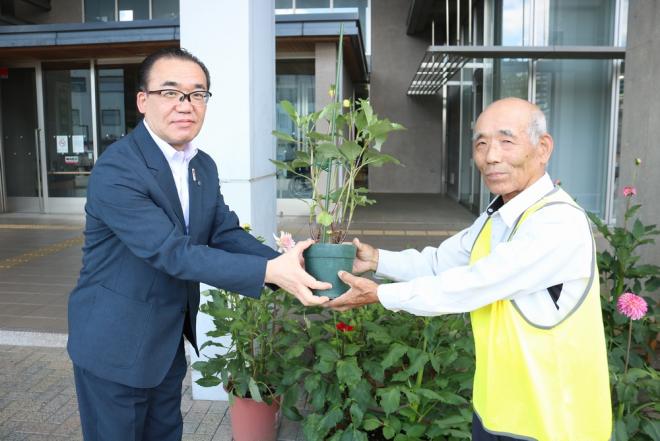 ダリアの鉢植えを市に寄贈の画像1