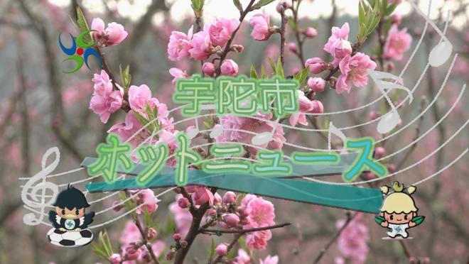 宇陀市ホットニュースの画像