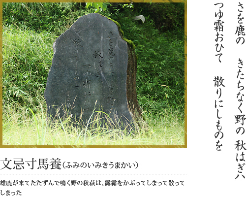 榛原八滝　文祢麻呂墓（巻8-1580）