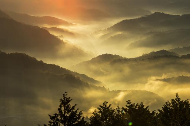 鳥見山の画像