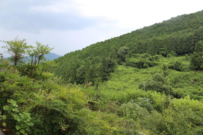 嬉河原の画像