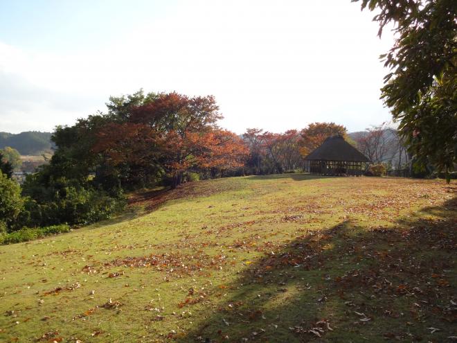 阿騎野の画像