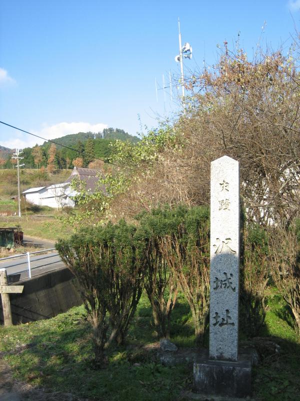 澤城跡の画像