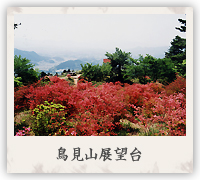 鳥見山展望台