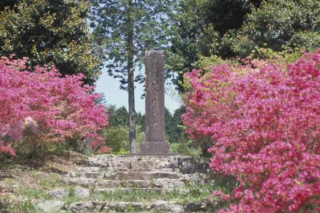 「鳥見山霊畤」伝承地