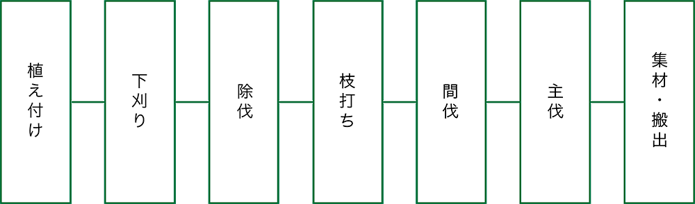 植え付け・下刈り・除伐・枝打ち・間伐・主伐・収材・搬出