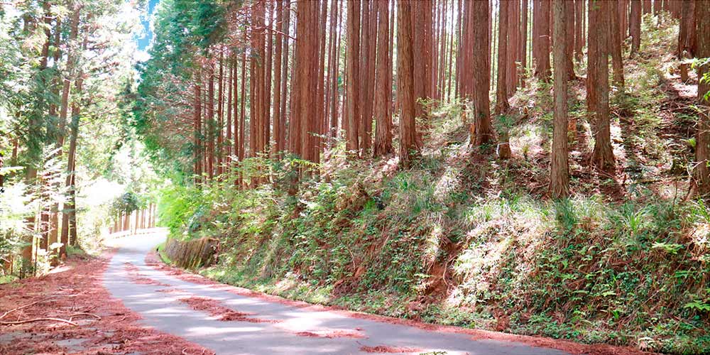 唐戸峠の画像