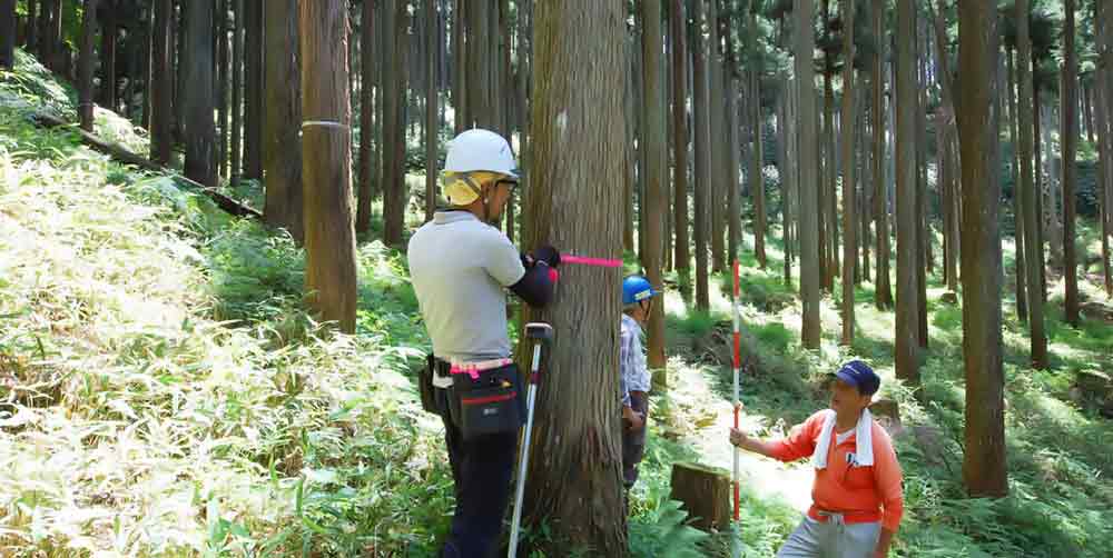 室生村森林組合 山本昌幸の画像5