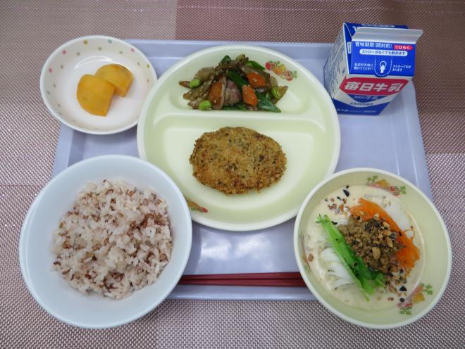 給食2024年11月15日