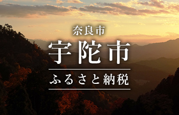 宇陀市ふるさと納税