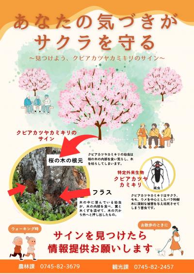 クビアカツヤカミキリを見つけたら連絡してください
