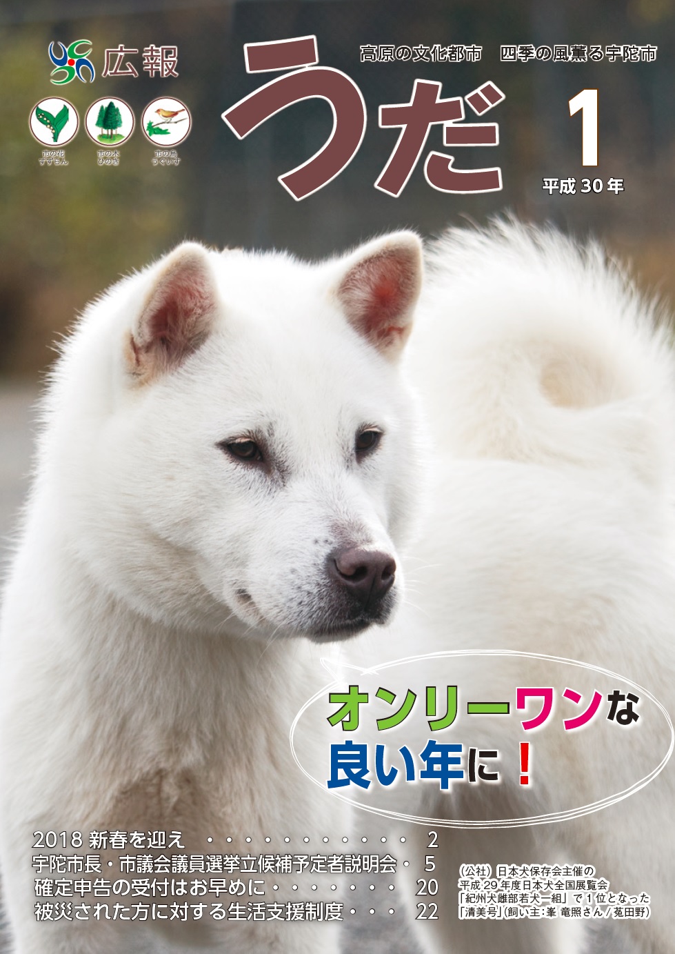 1月号表紙