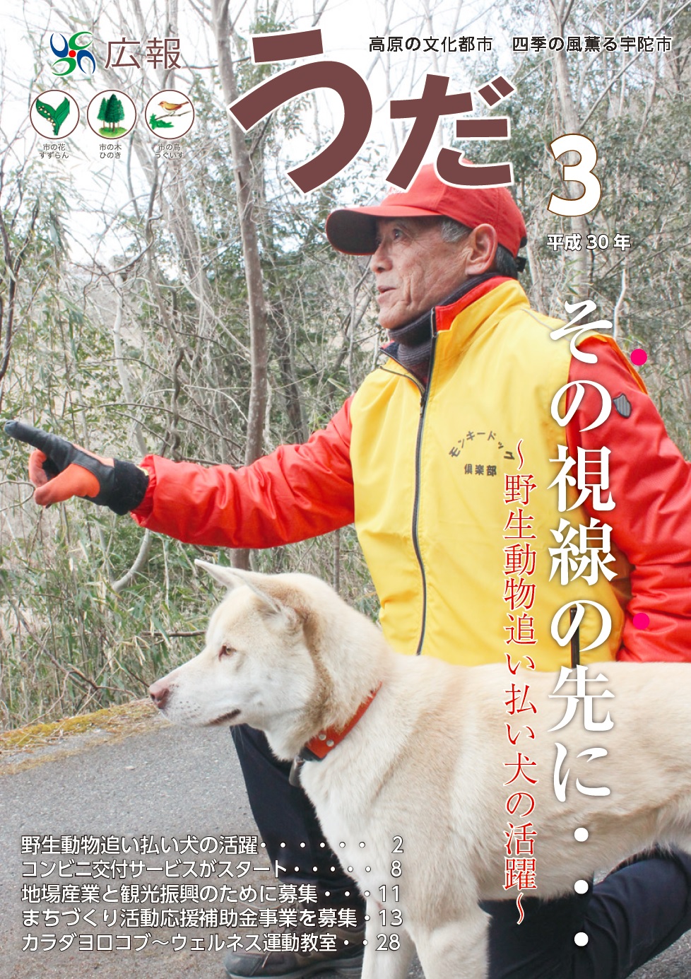 3月号表紙