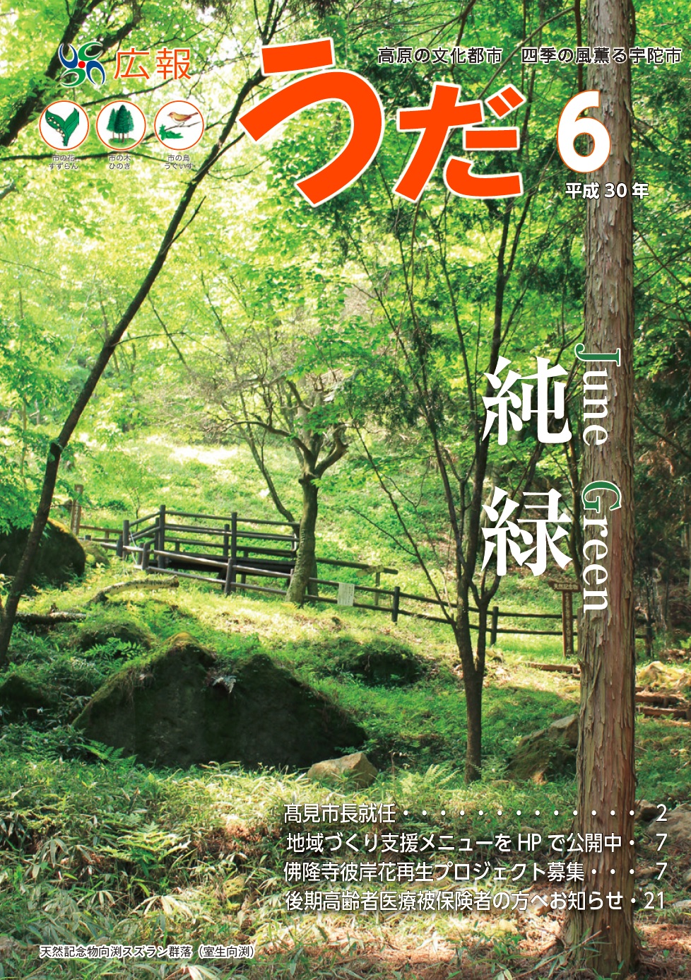 6月号表紙
