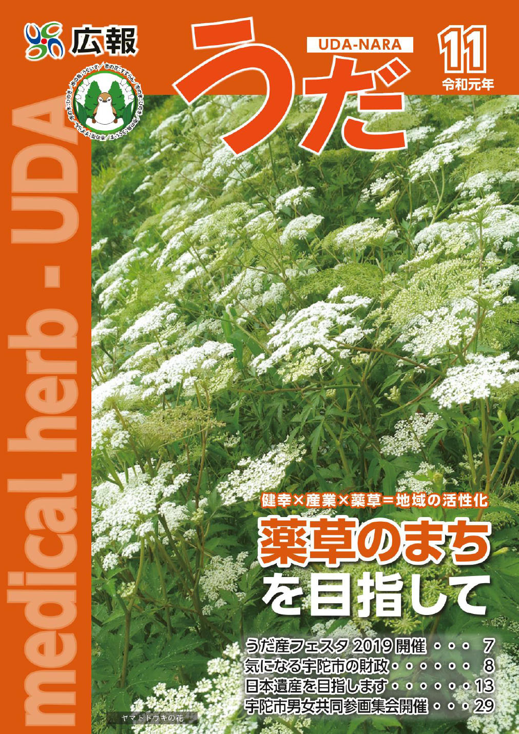 11月号表紙