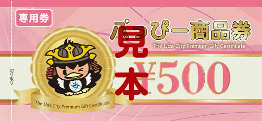 プレミアム商品券500円分(専用券)